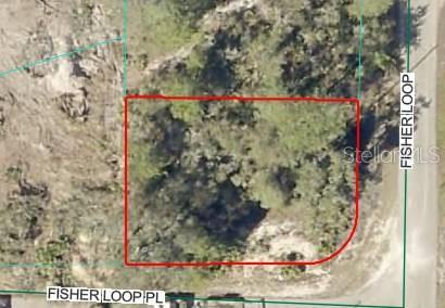 Lot 76 FISHER LOOP, OCKLAWAHA, FL, 32179
