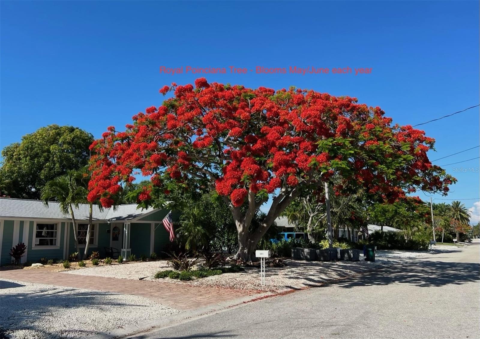 504 69TH ST, HOLMES BEACH, FL, 34217