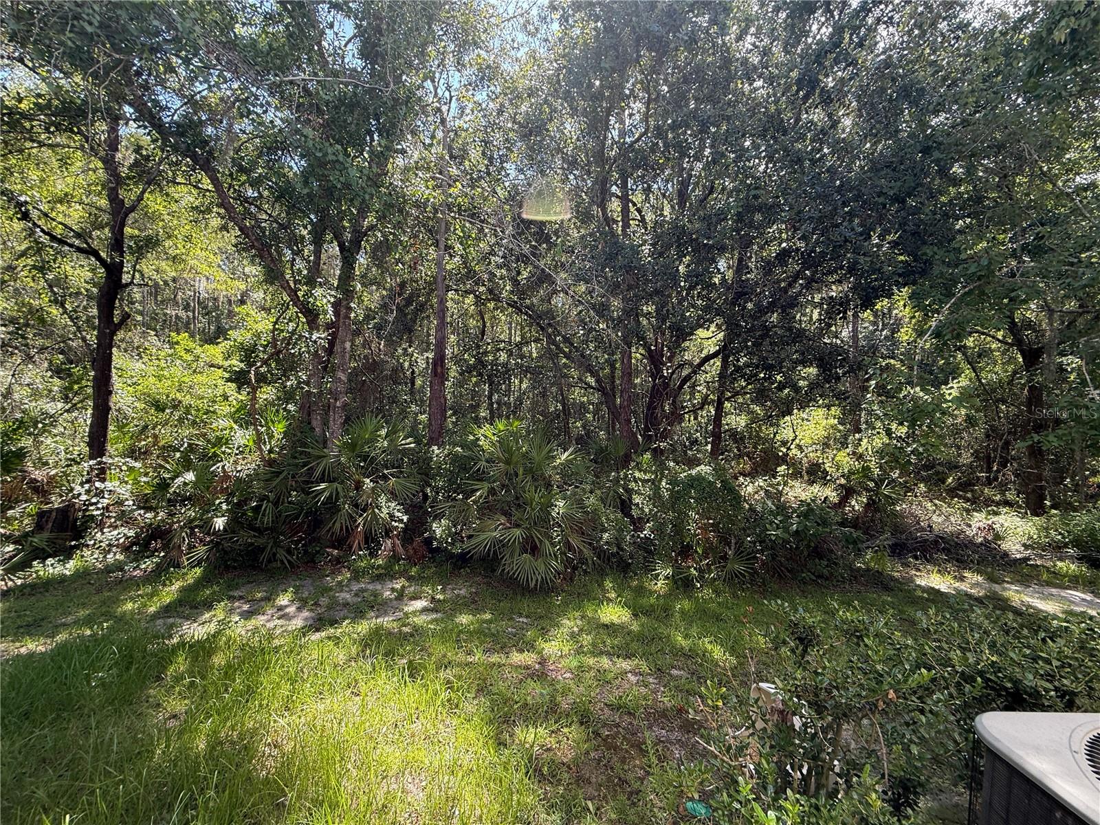 Beautiful conservation view