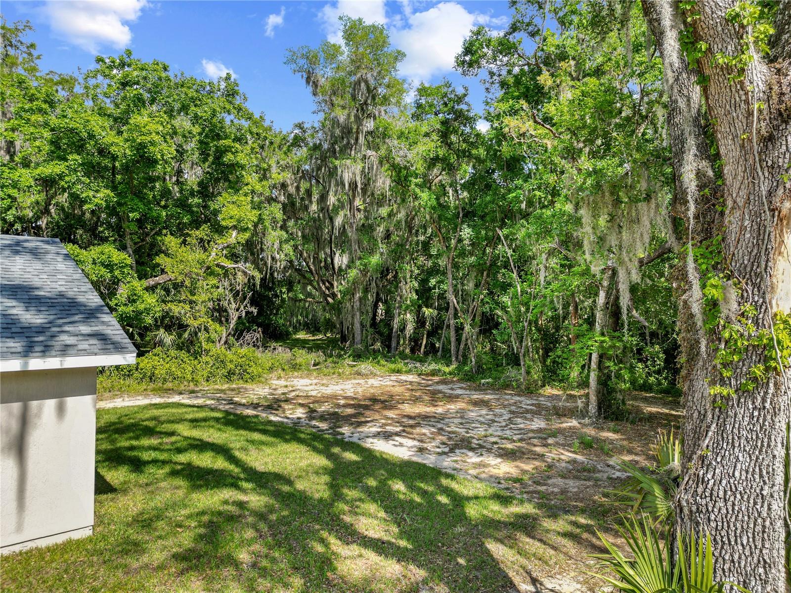 1025 CR 452A, LAKE PANASOFFKEE, FL, 33538
