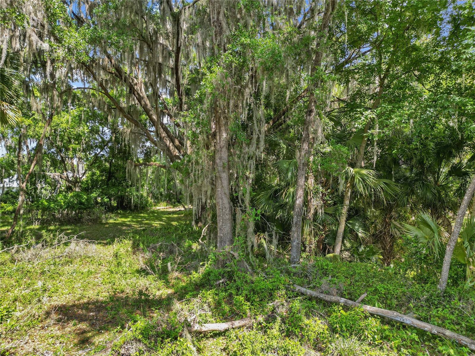 1025 CR 452A, LAKE PANASOFFKEE, FL, 33538