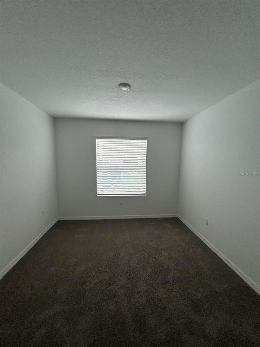 16620 GROTTO STEAM PL, WIMAUMA, FL, 33598
