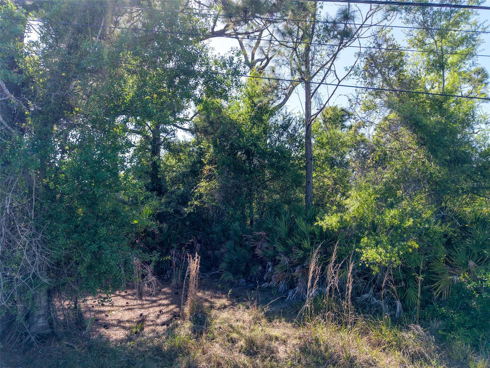274 SWEETWATER DR, ROTONDA WEST, FL, 33947