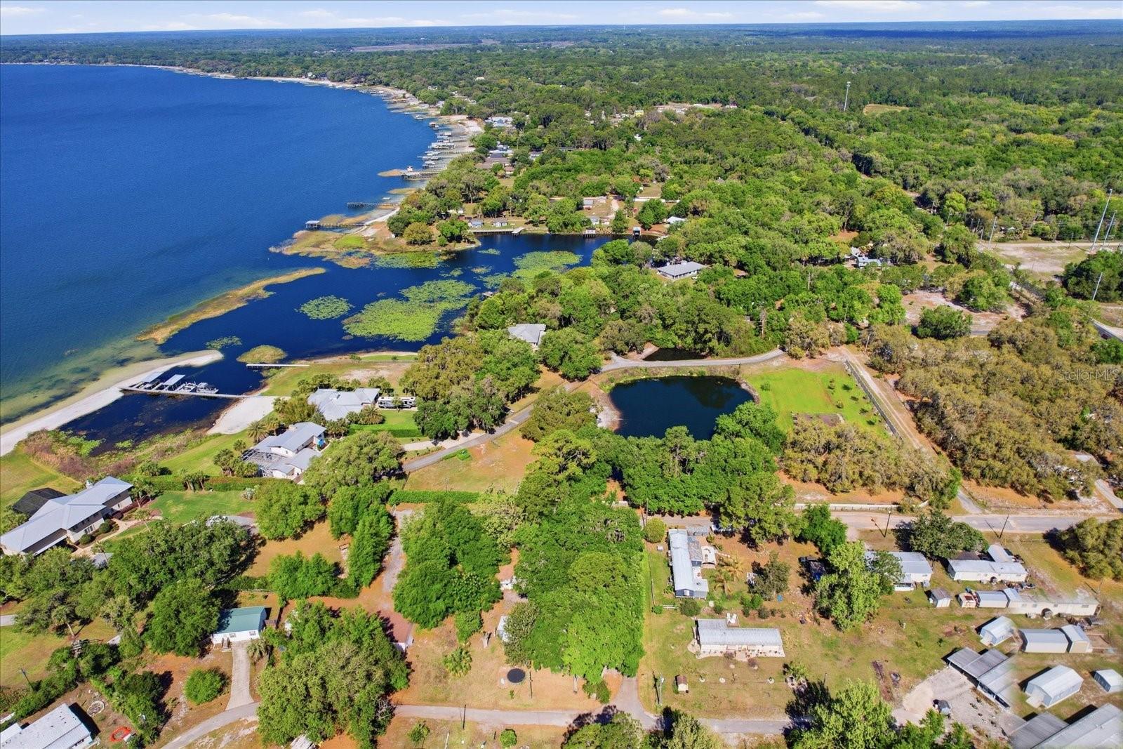 TBD SE 142ND CT, OCKLAWAHA, FL, 32179