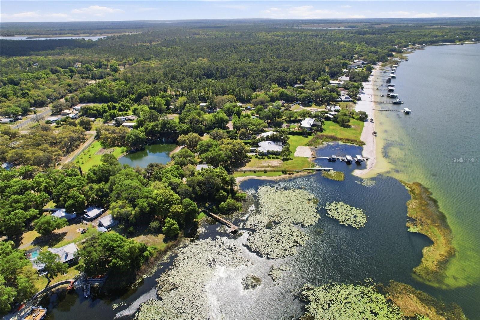 TBD SE 142ND CT, OCKLAWAHA, FL, 32179
