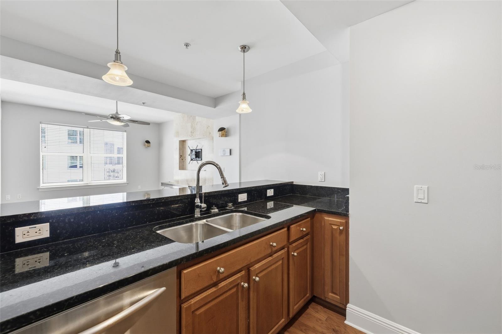 1227 E MADISON ST #902, TAMPA, FL, 33602