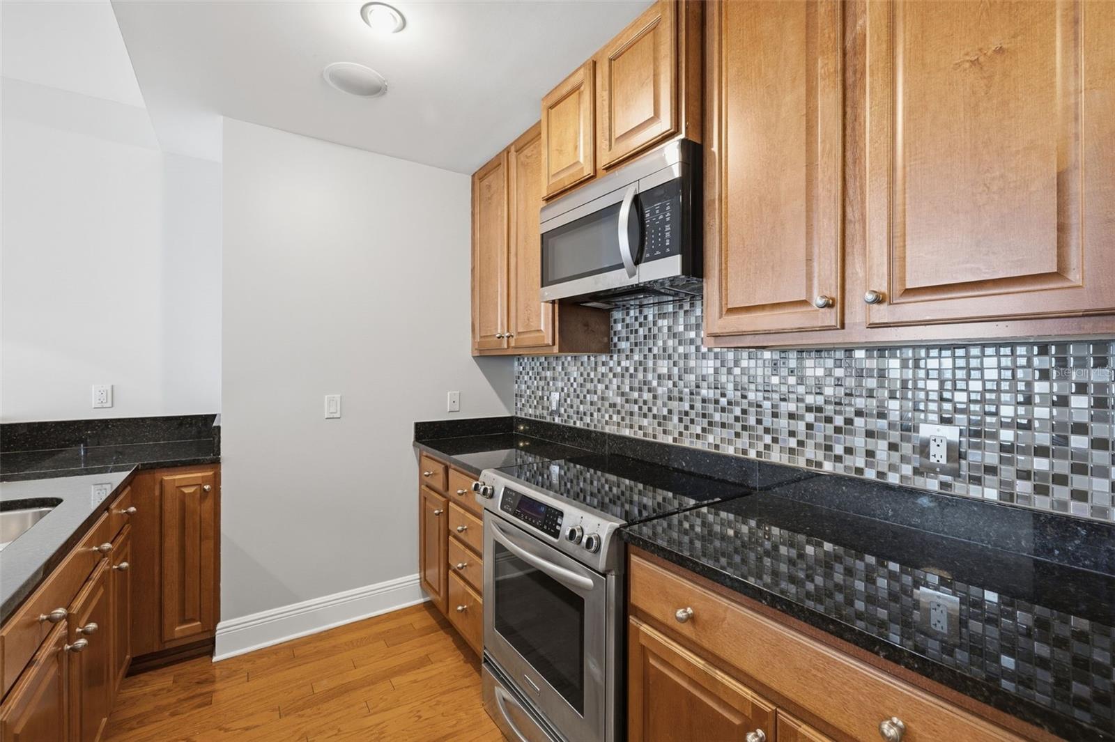 1227 E MADISON ST #902, TAMPA, FL, 33602