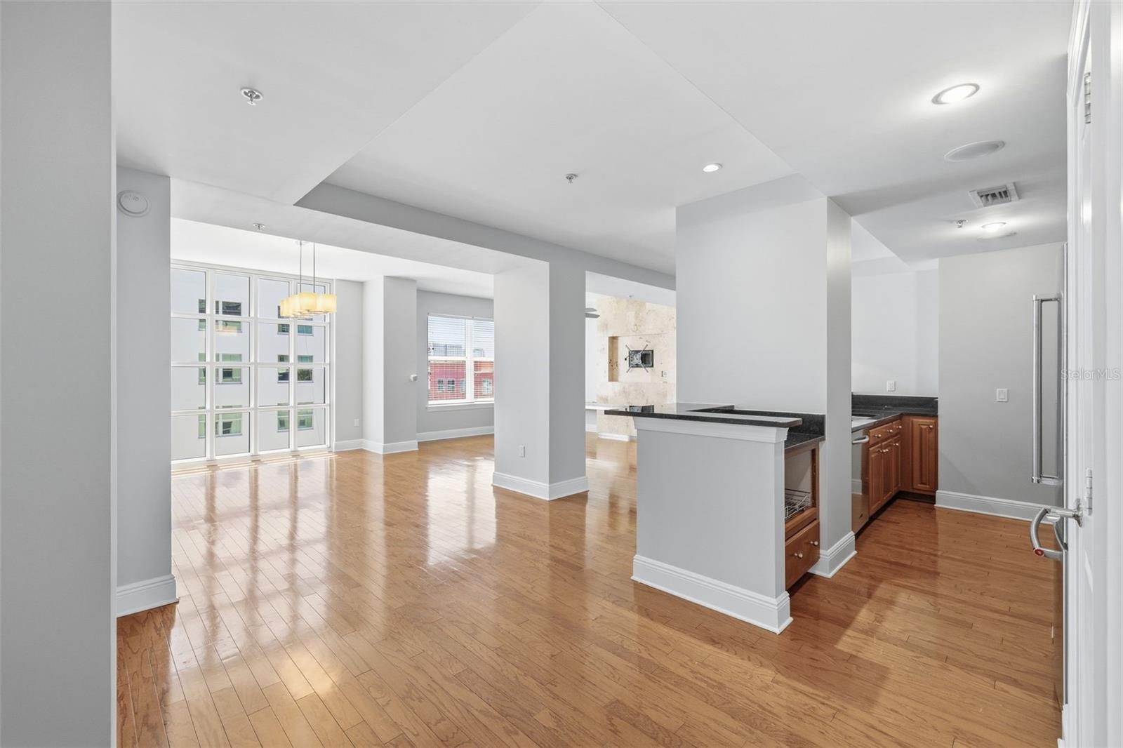 1227 E MADISON ST #902, TAMPA, FL, 33602