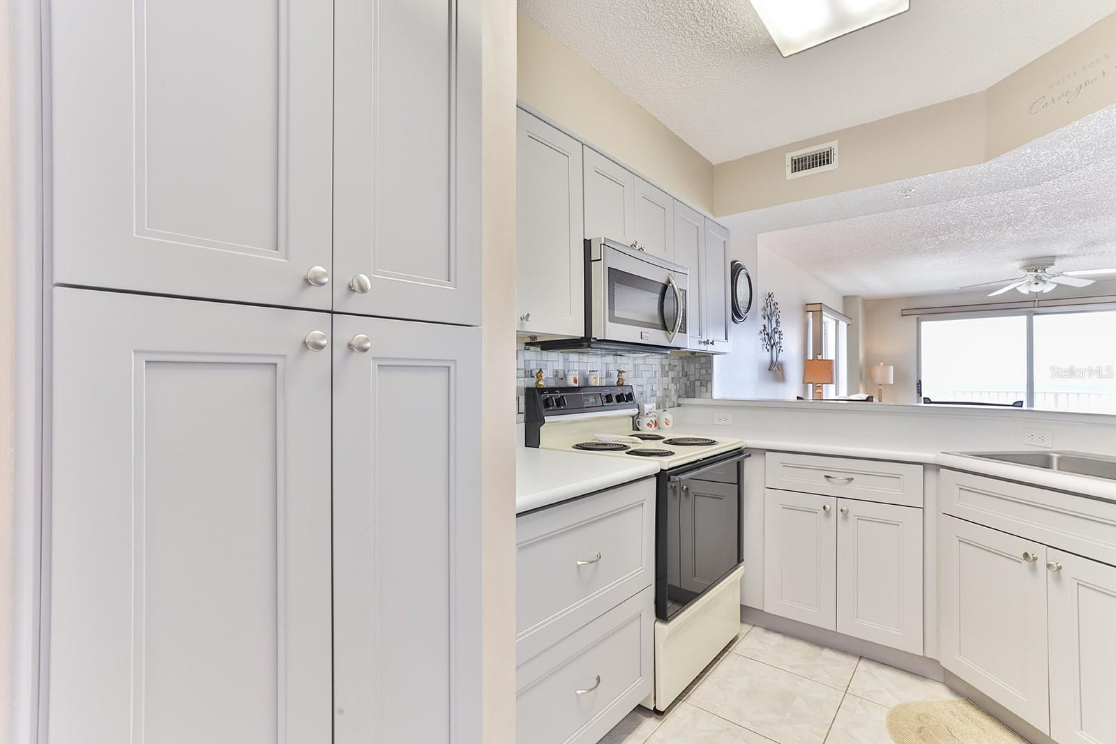 1183 OCEAN SHORE BLVD #505, ORMOND BEACH, FL, 32176
