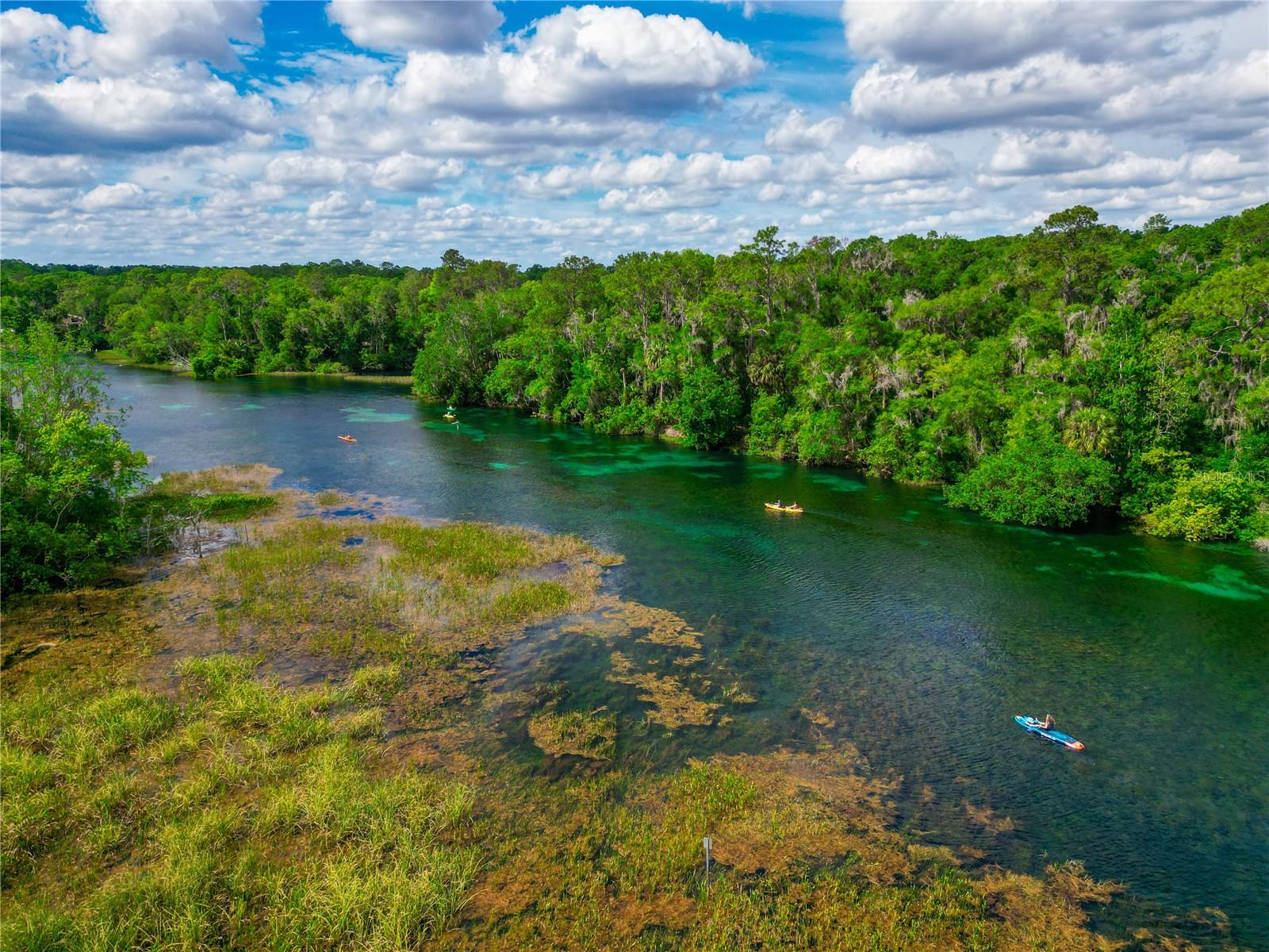 19562 SW 84TH PL, DUNNELLON, FL, 34432