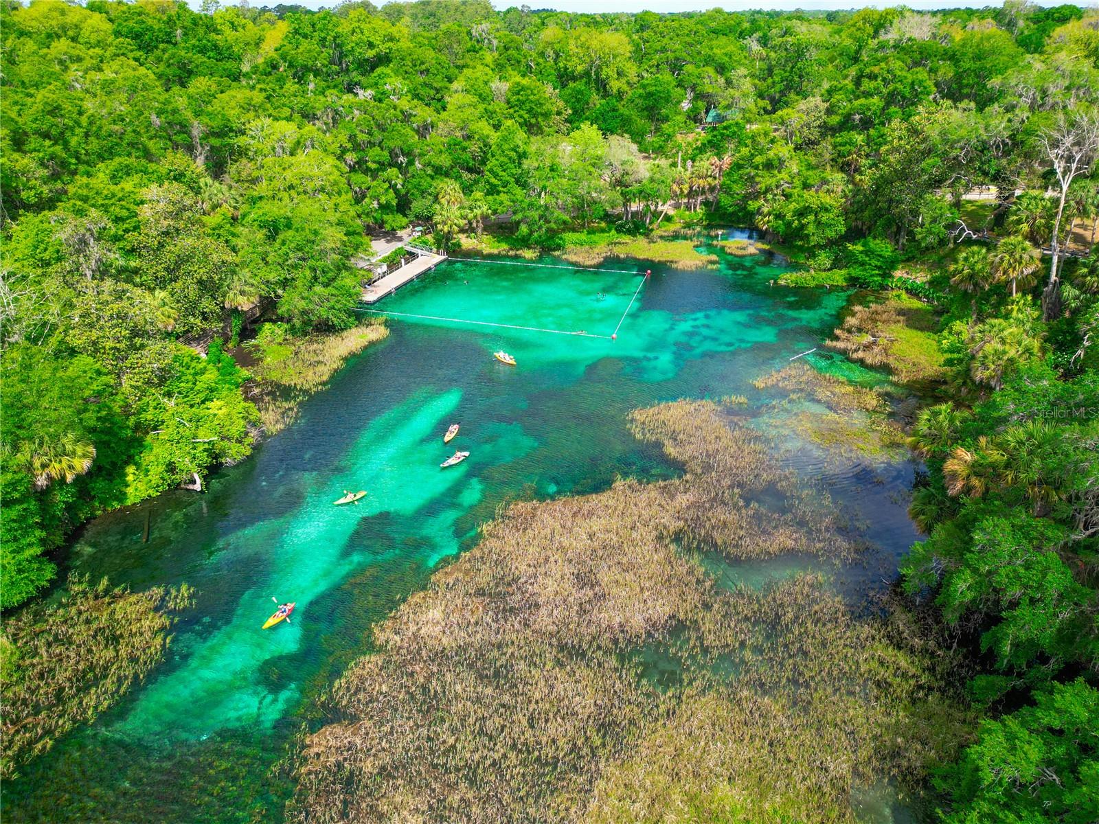 19562 SW 84TH PL, DUNNELLON, FL, 34432