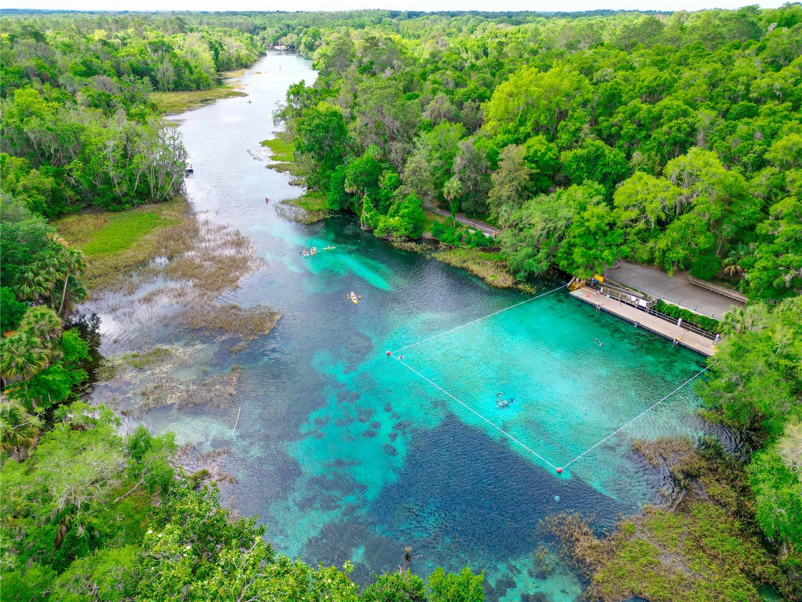 19562 SW 84TH PL, DUNNELLON, FL, 34432