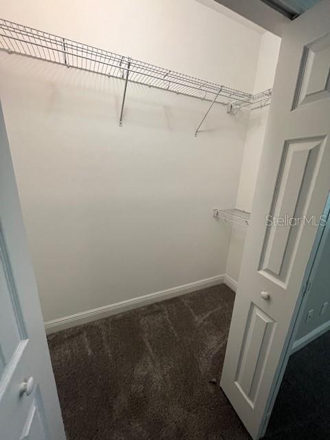 11522 CROWNED SPARROW LN, TAMPA, FL, 33626