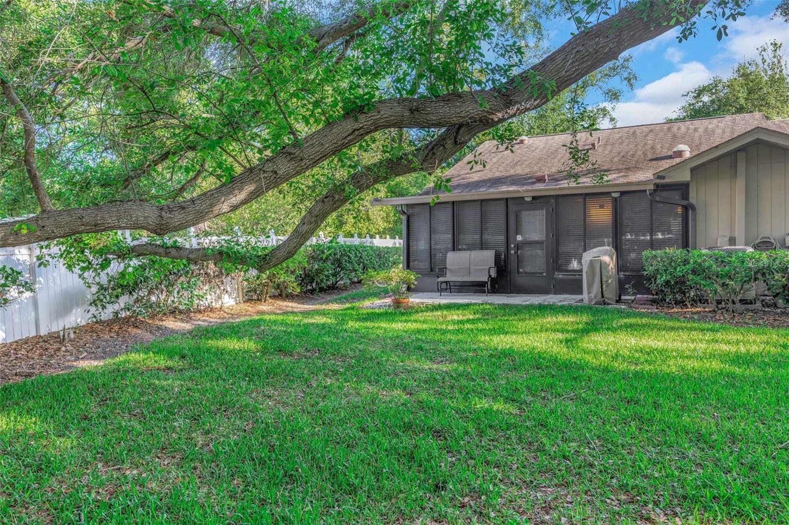 Rear Yard - Reverse View