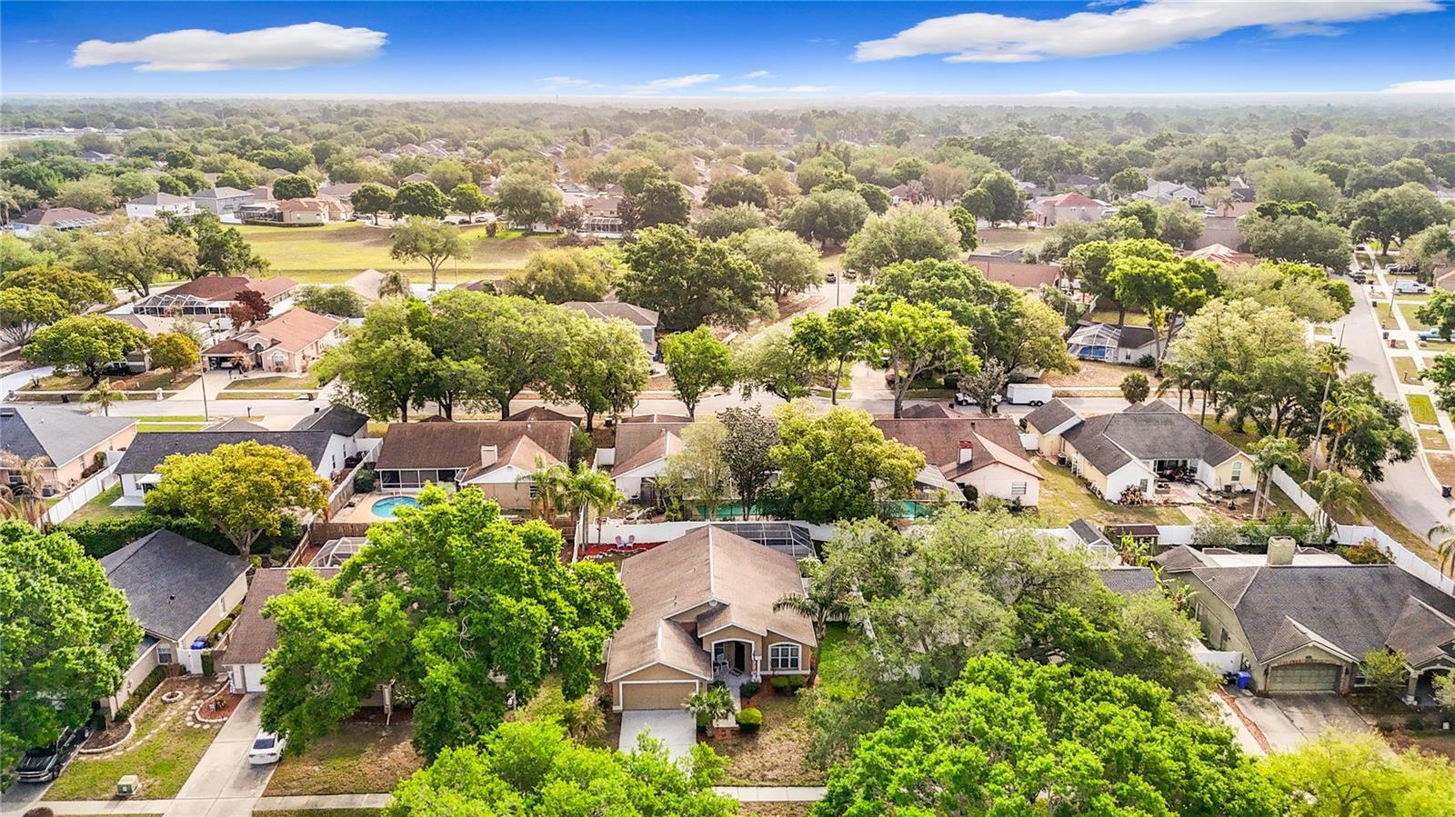 2631 GREEN VALLEY ST, VALRICO, FL, 33596