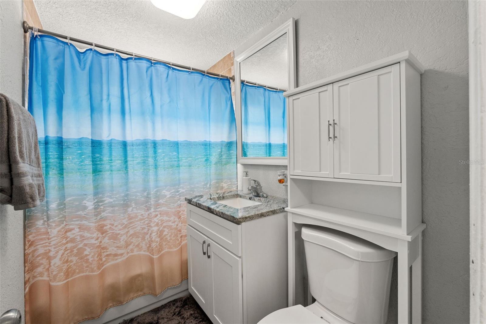 8996 SOUTHERN COMFORT DR, LARGO, FL, 33773