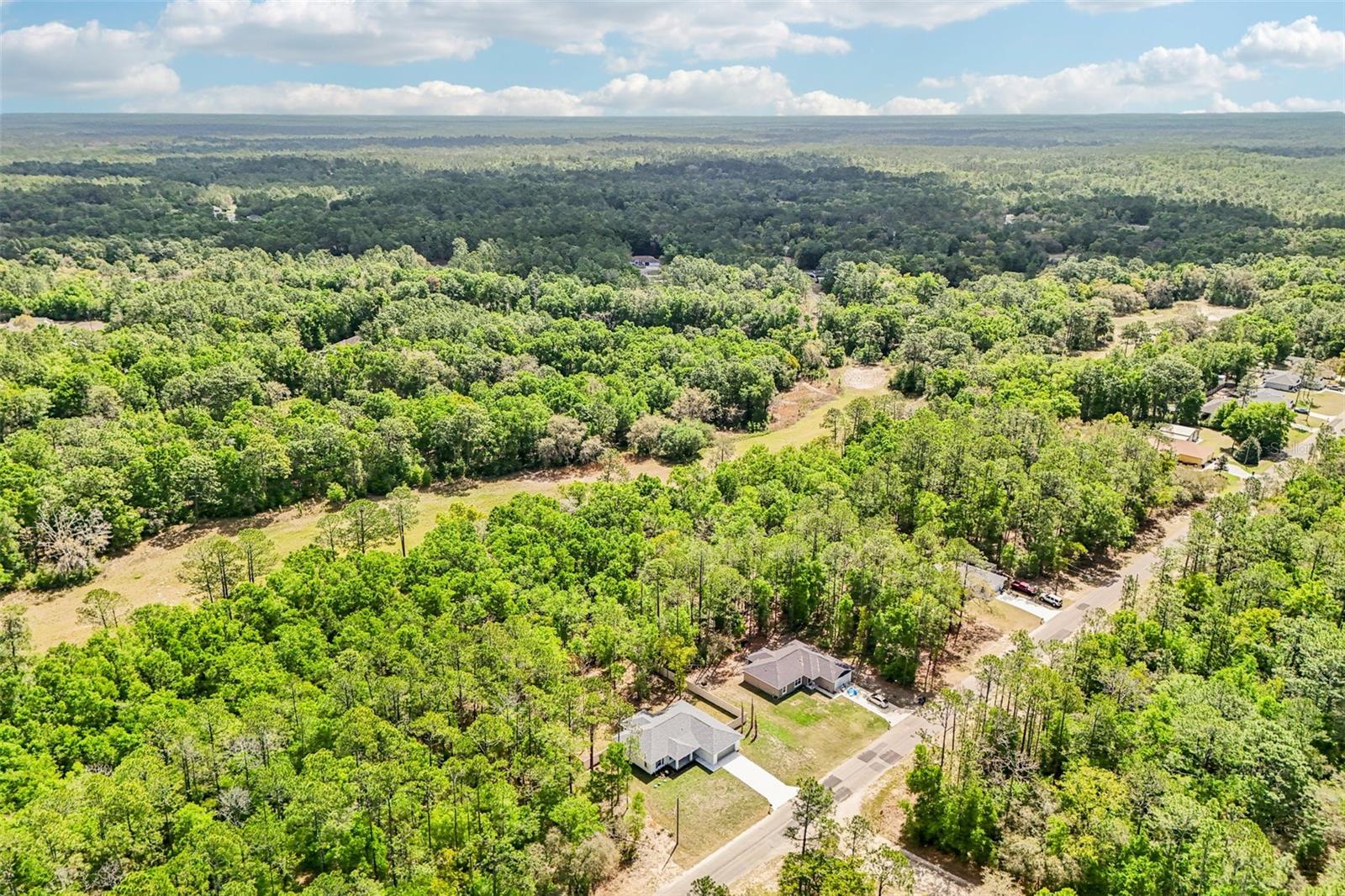 9845 N SHERMAN DR, CITRUS SPRINGS, FL, 34434