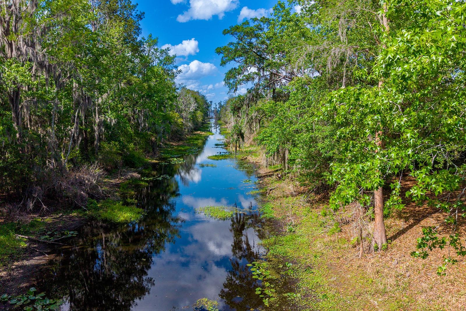 6308 ISLAND RD, MELROSE, FL, 32666