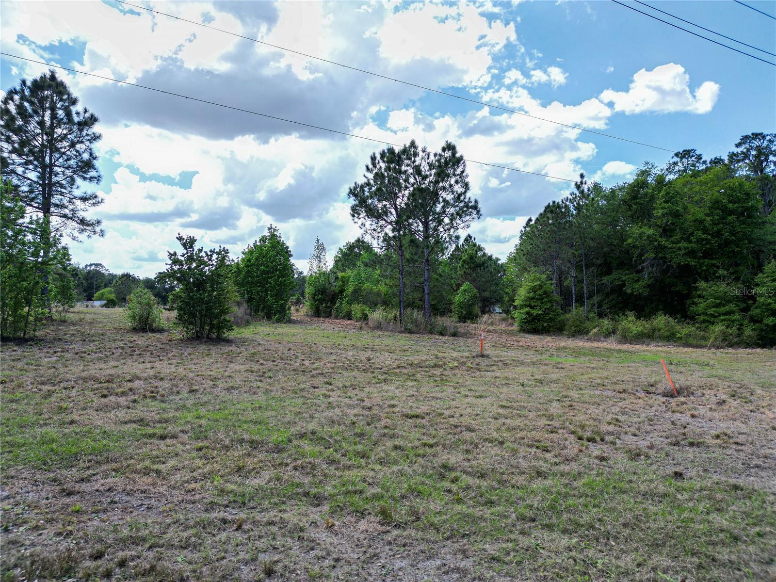 CORONET RD, MULBERRY, FL, 33860