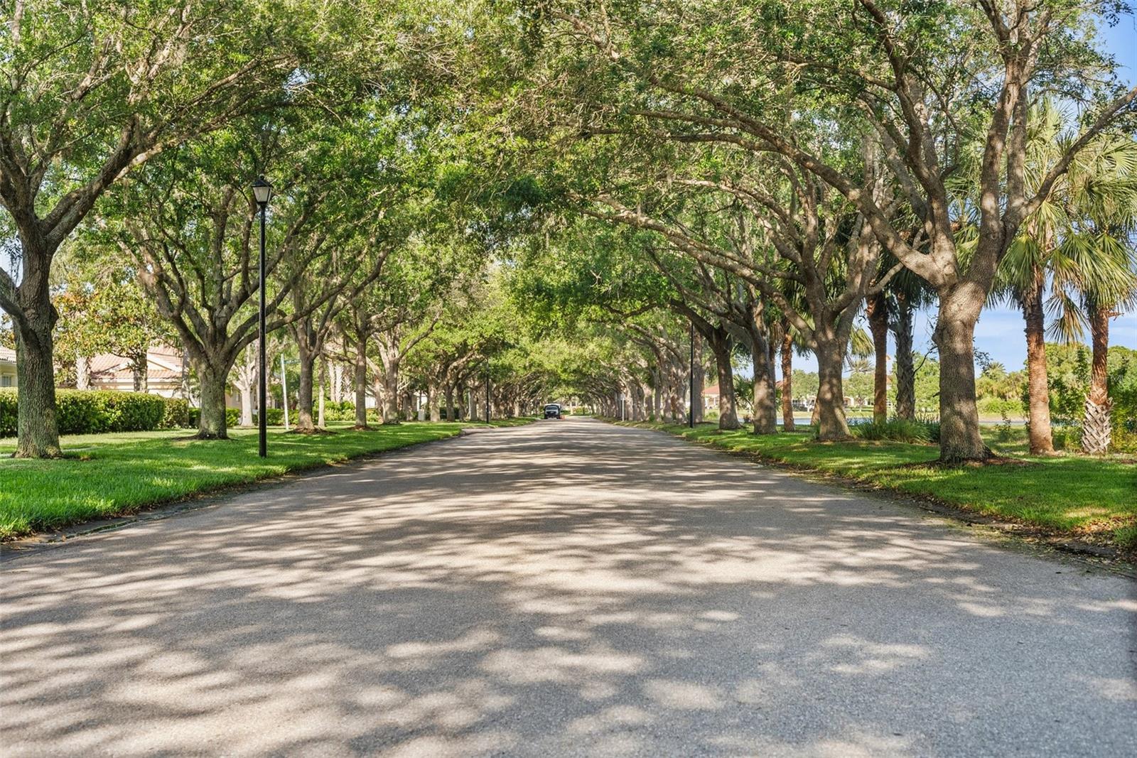 7668 BERGAMO AVE, SARASOTA, FL, 34238