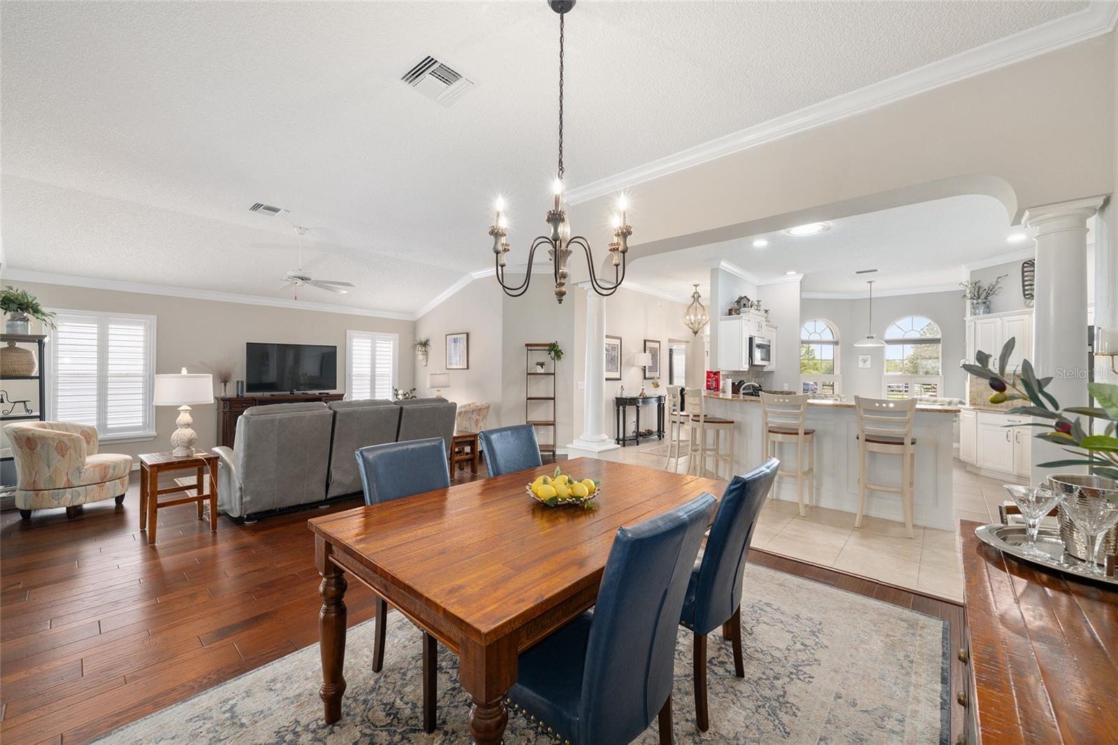 17774 SE 86TH OAK LEAF TER, THE VILLAGES, FL, 32162