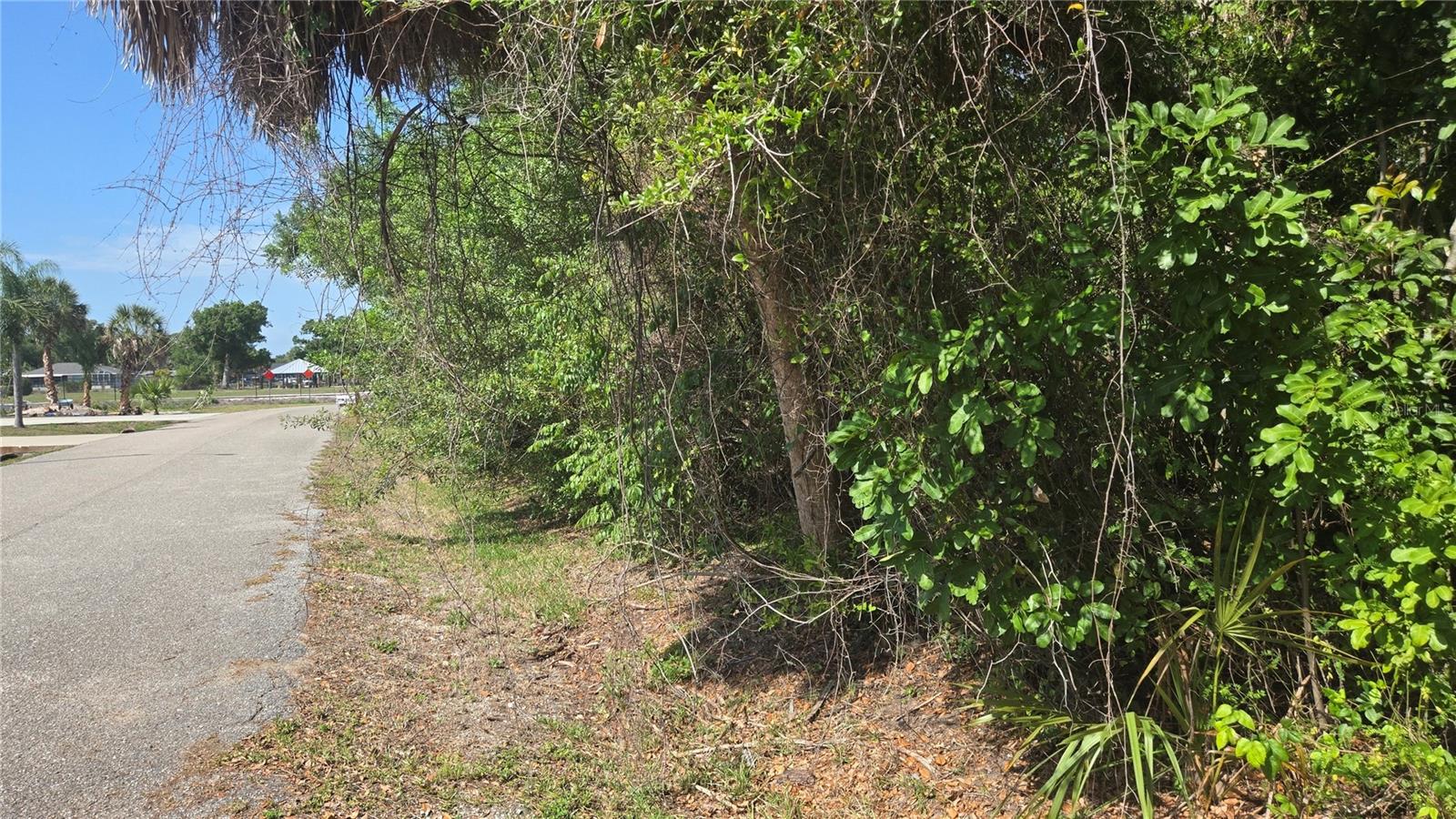 ROLLA RD, VENICE, FL, 34293