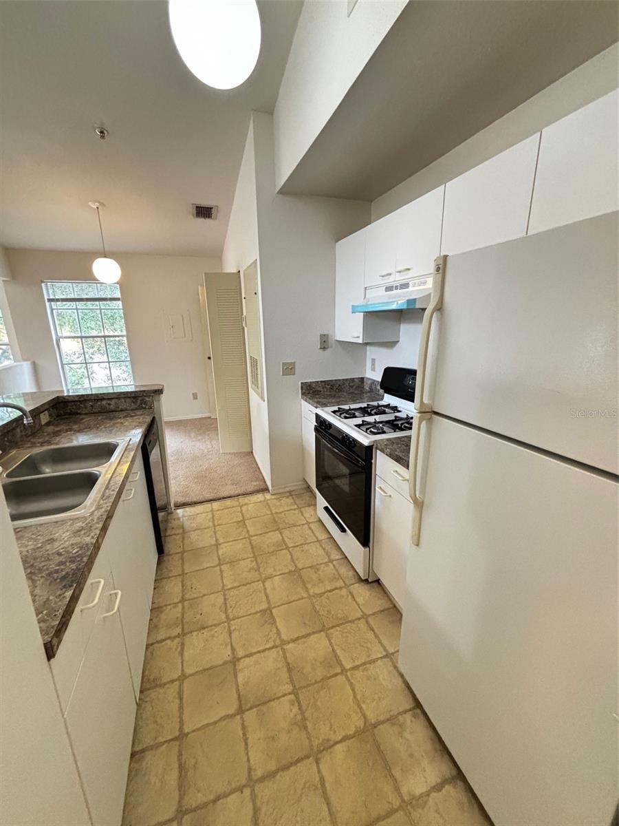 1615 COLUMBIA ARMS CIR #251, KISSIMMEE, FL, 34741