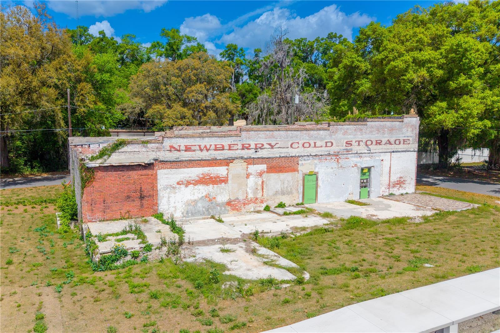 98 NW 254TH ST, NEWBERRY, FL, 32669
