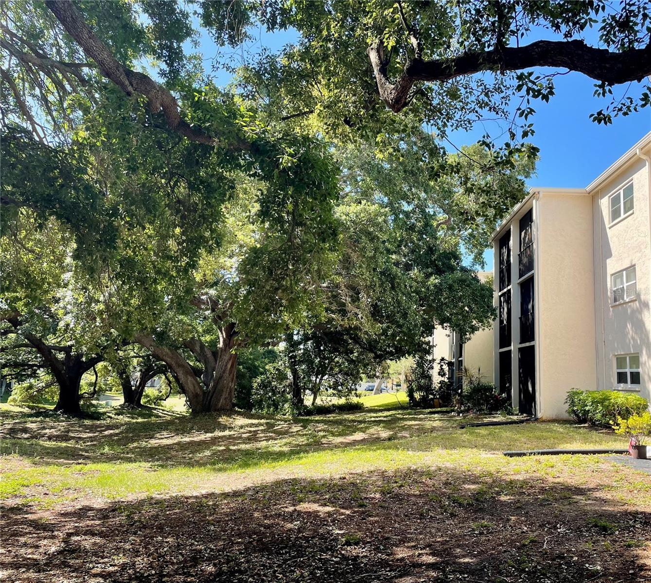 840 VIRGINIA ST #303, DUNEDIN, FL, 34698