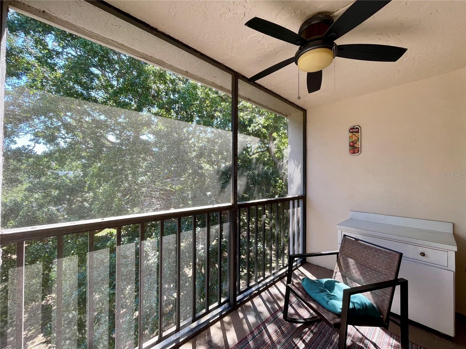 840 VIRGINIA ST #303, DUNEDIN, FL, 34698