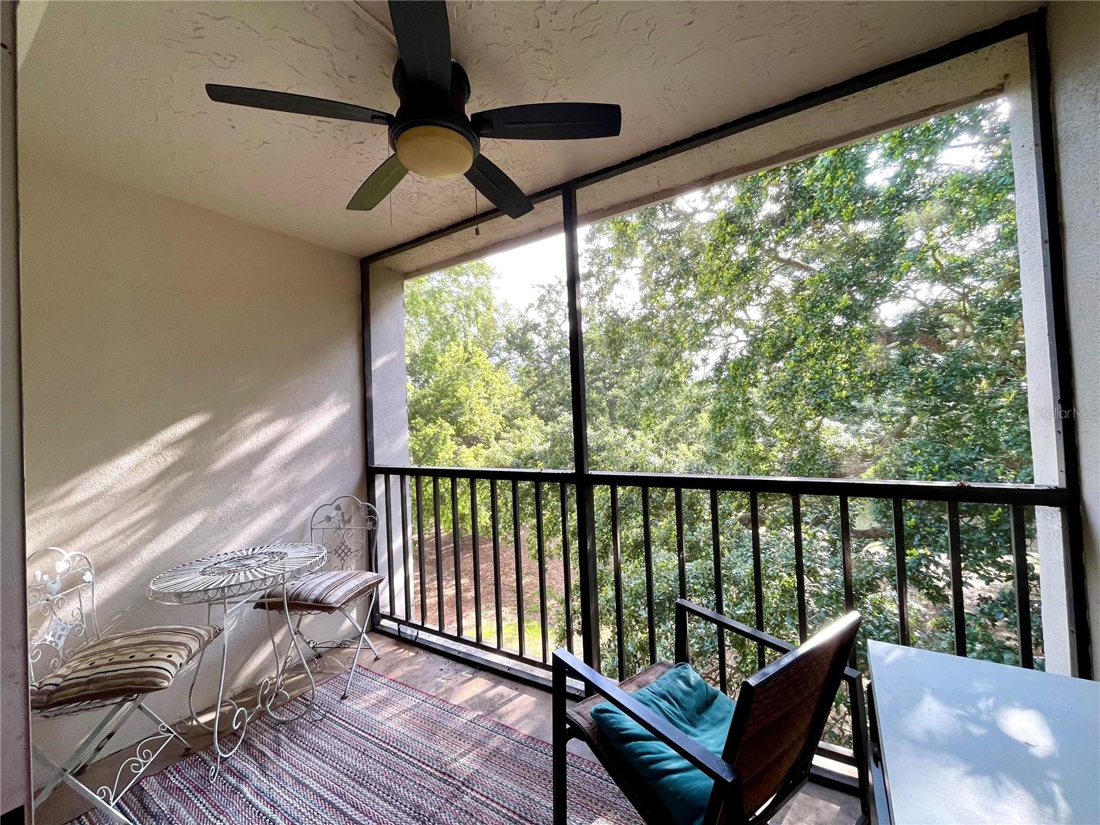 840 VIRGINIA ST #303, DUNEDIN, FL, 34698