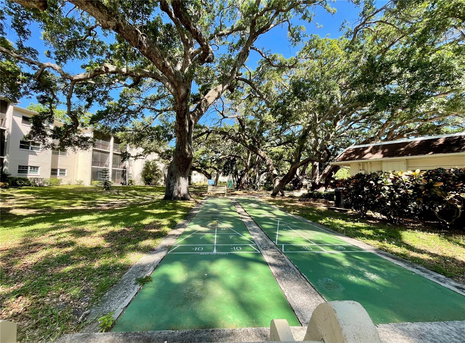 840 VIRGINIA ST #303, DUNEDIN, FL, 34698