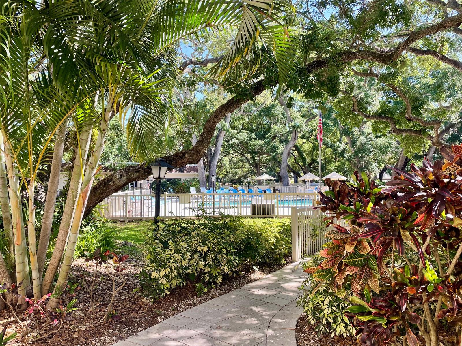 840 VIRGINIA ST #303, DUNEDIN, FL, 34698