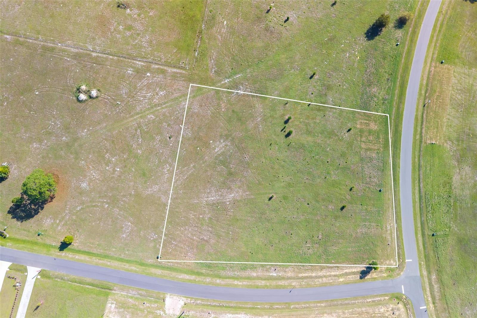 38529 WOODED MEADOW DR, UMATILLA, FL, 32784