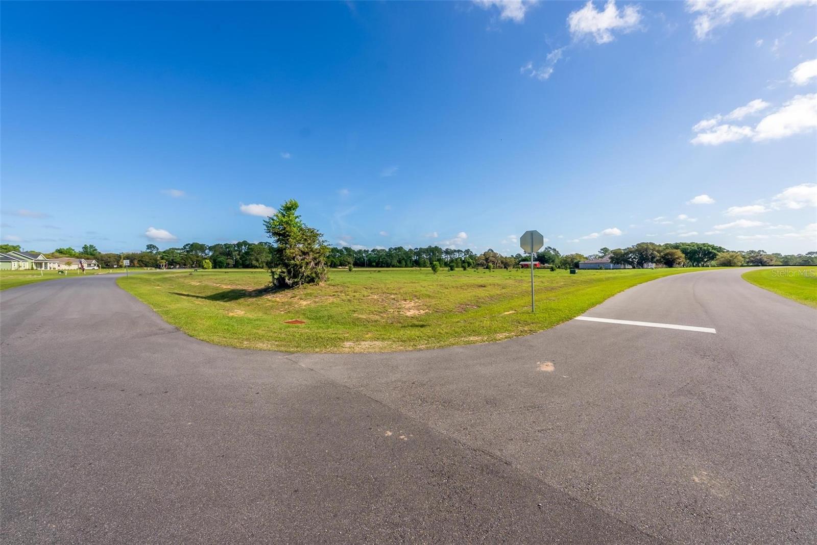 38529 WOODED MEADOW DR, UMATILLA, FL, 32784