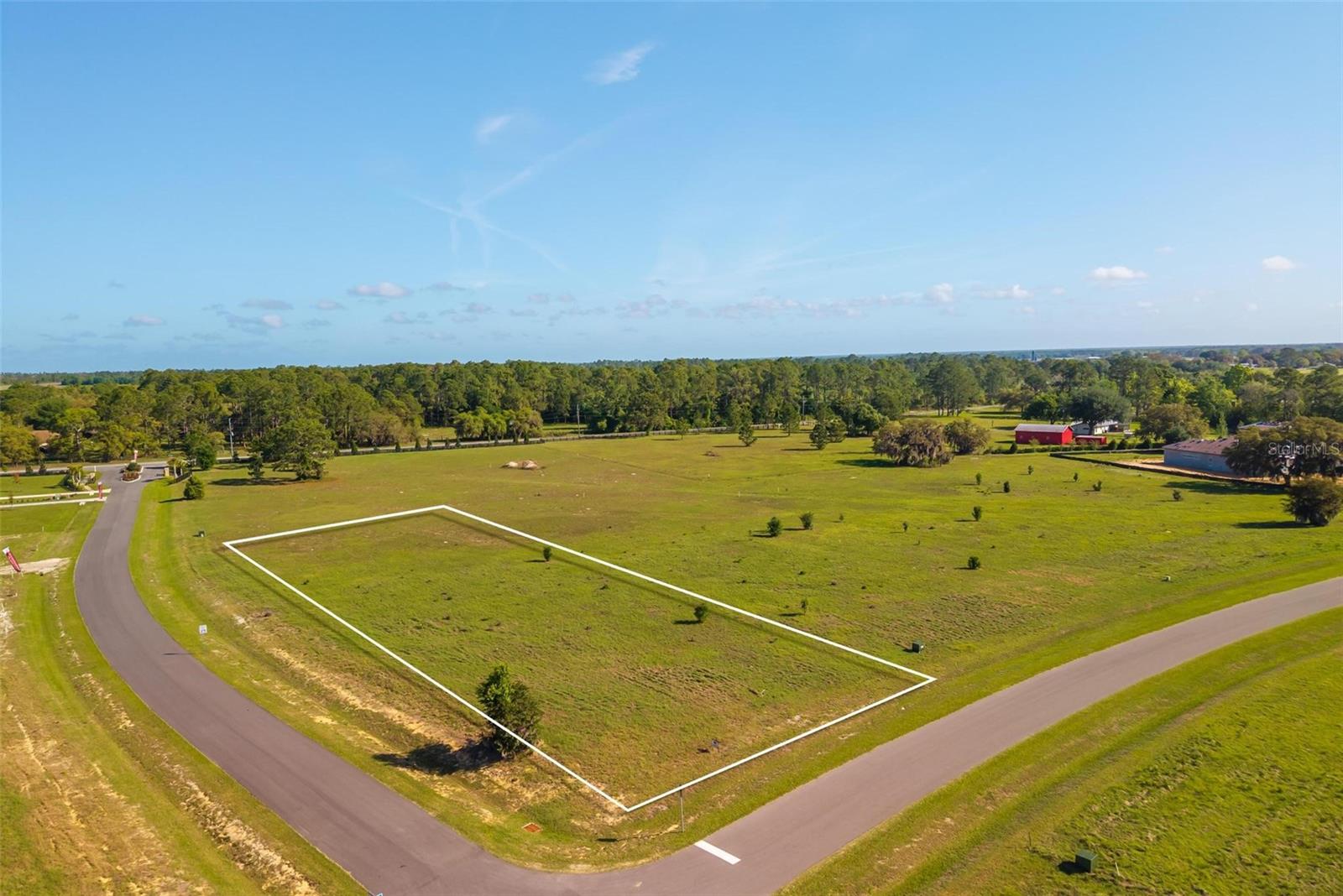 38529 WOODED MEADOW DR, UMATILLA, FL, 32784