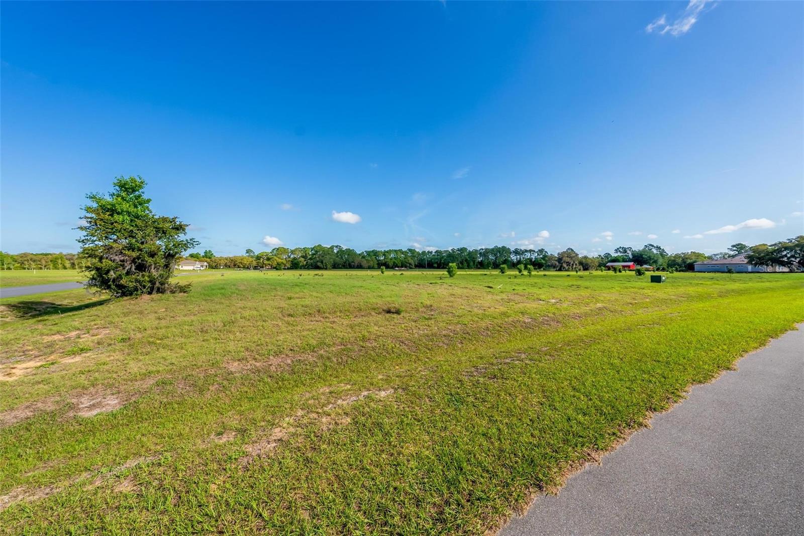 38529 WOODED MEADOW DR, UMATILLA, FL, 32784