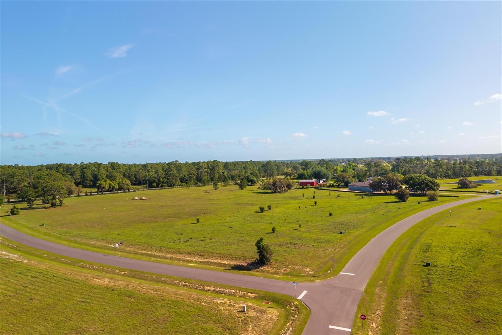 38529 WOODED MEADOW DR, UMATILLA, FL, 32784
