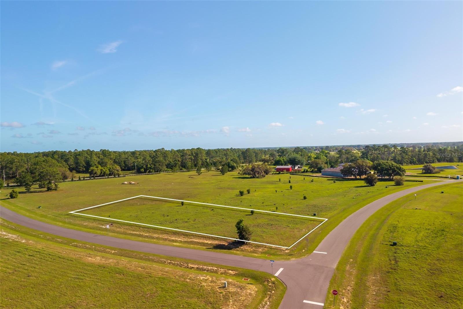 38529 WOODED MEADOW DR, UMATILLA, FL, 32784