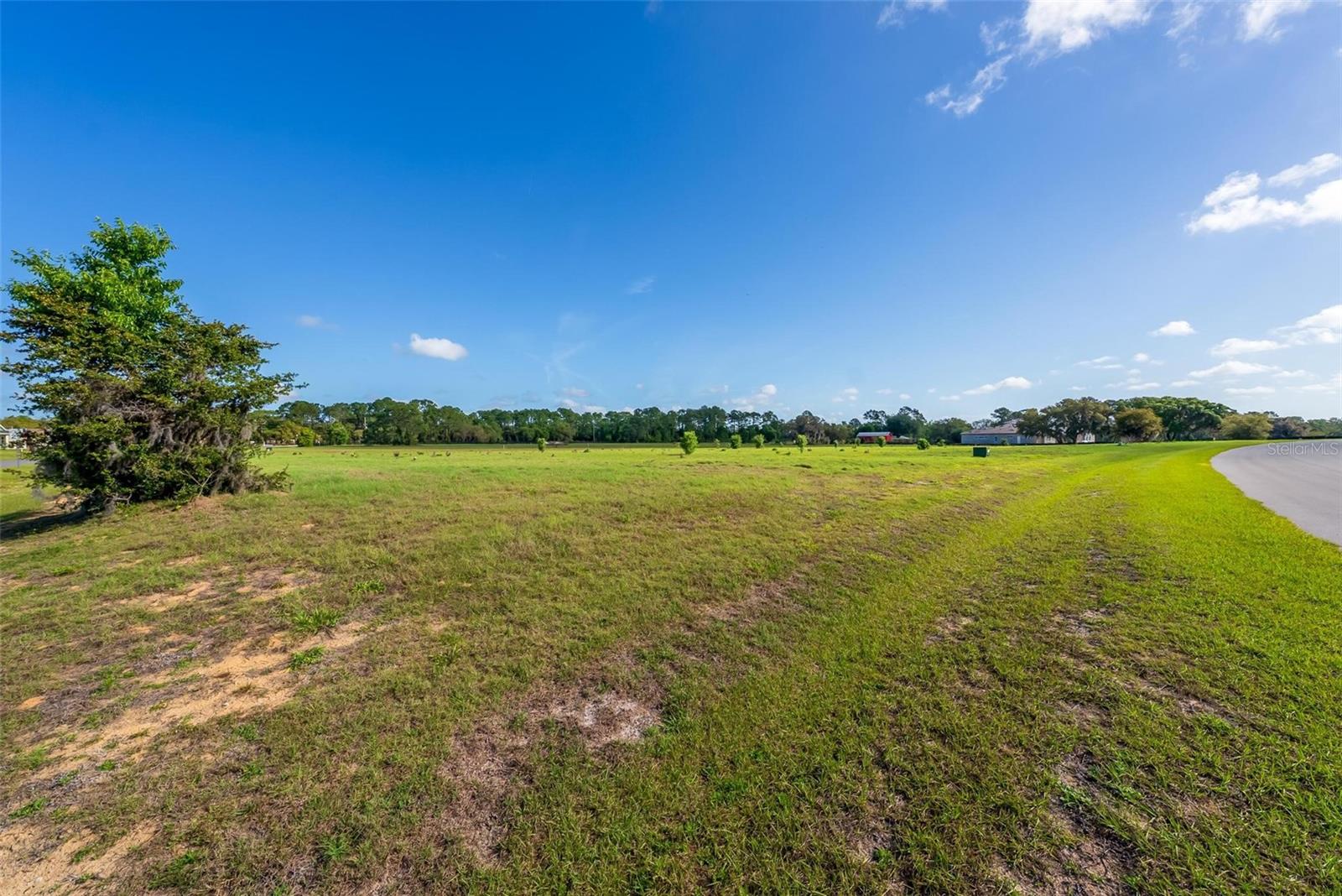 38529 WOODED MEADOW DR, UMATILLA, FL, 32784
