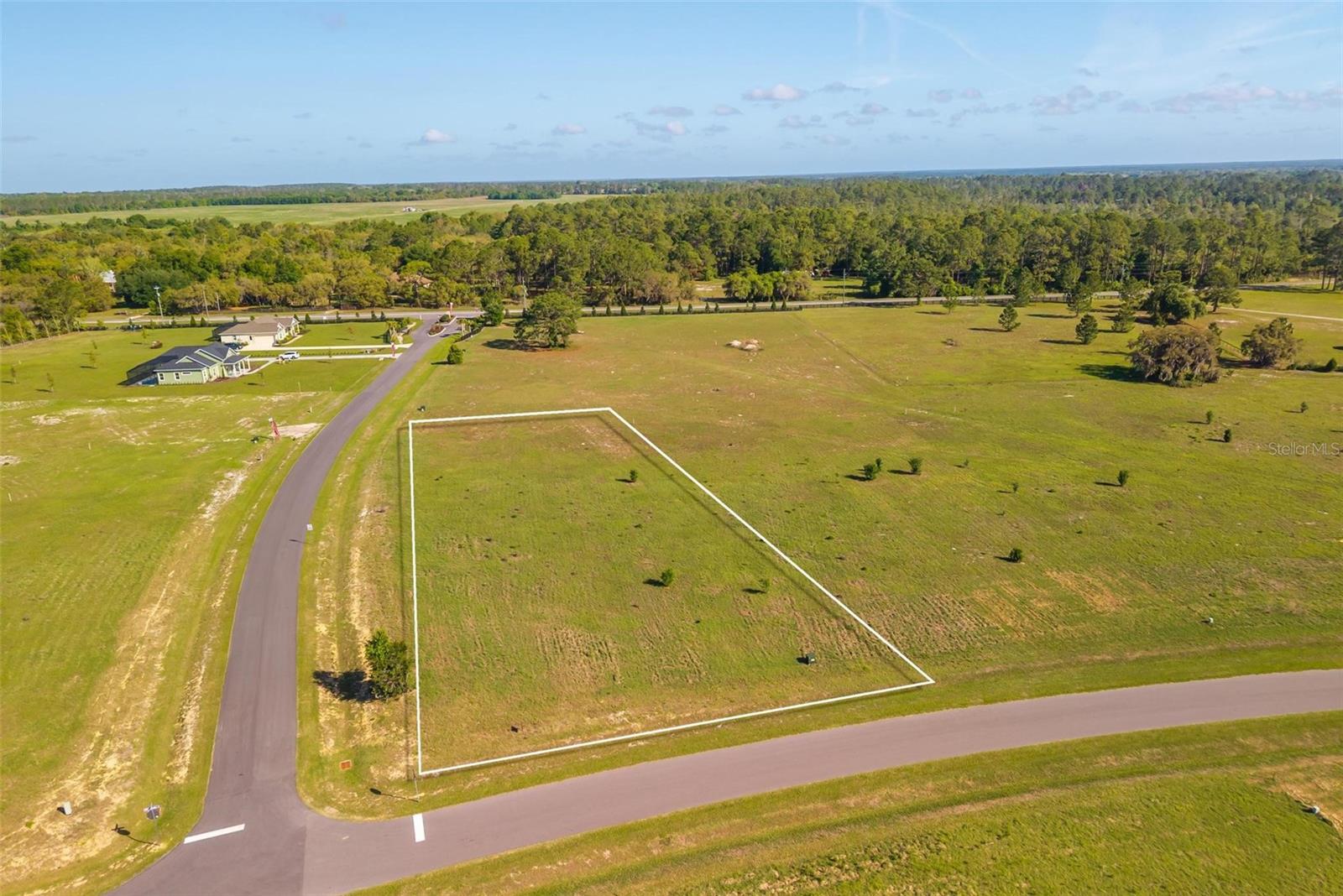 38529 WOODED MEADOW DR, UMATILLA, FL, 32784