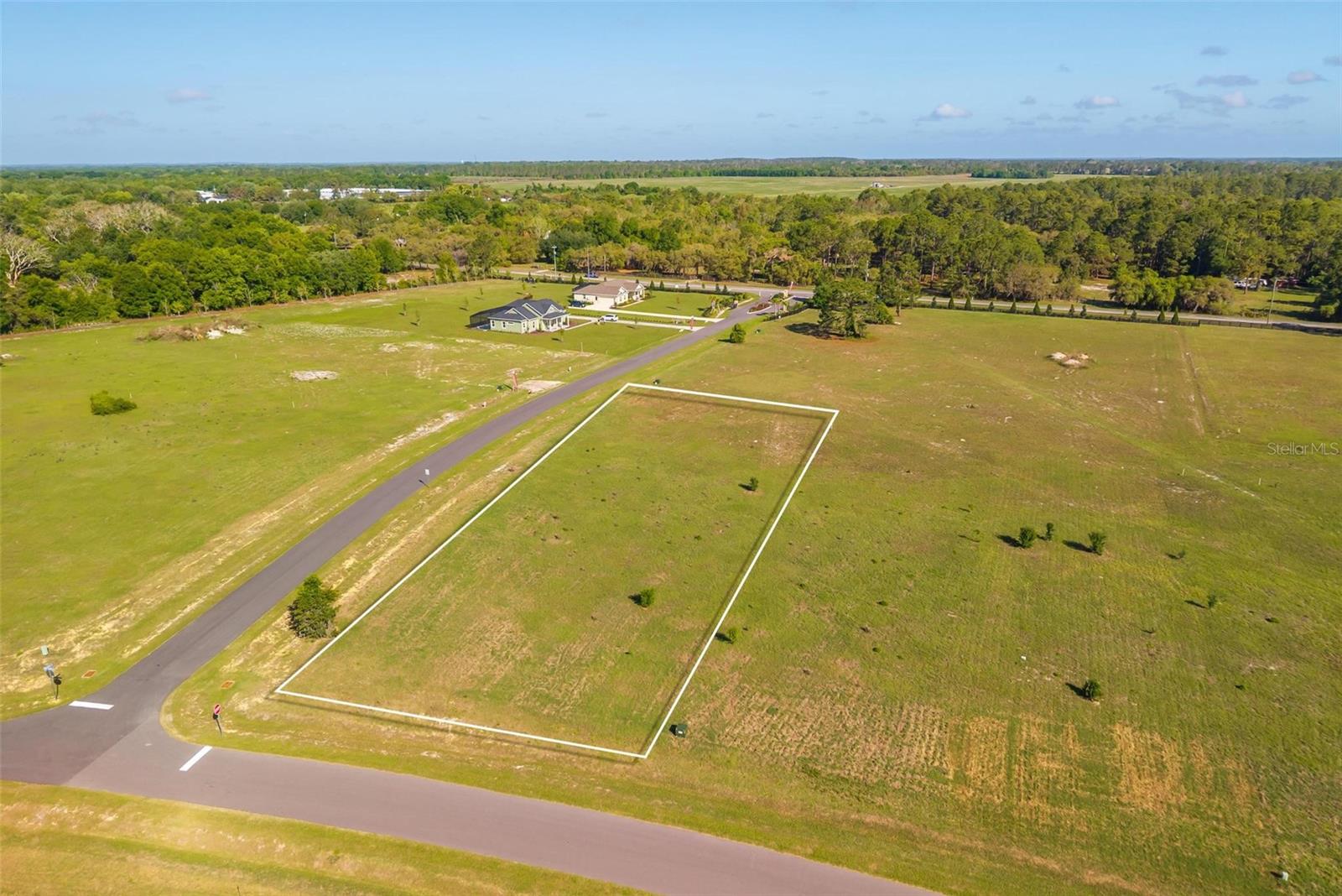 38529 WOODED MEADOW DR, UMATILLA, FL, 32784