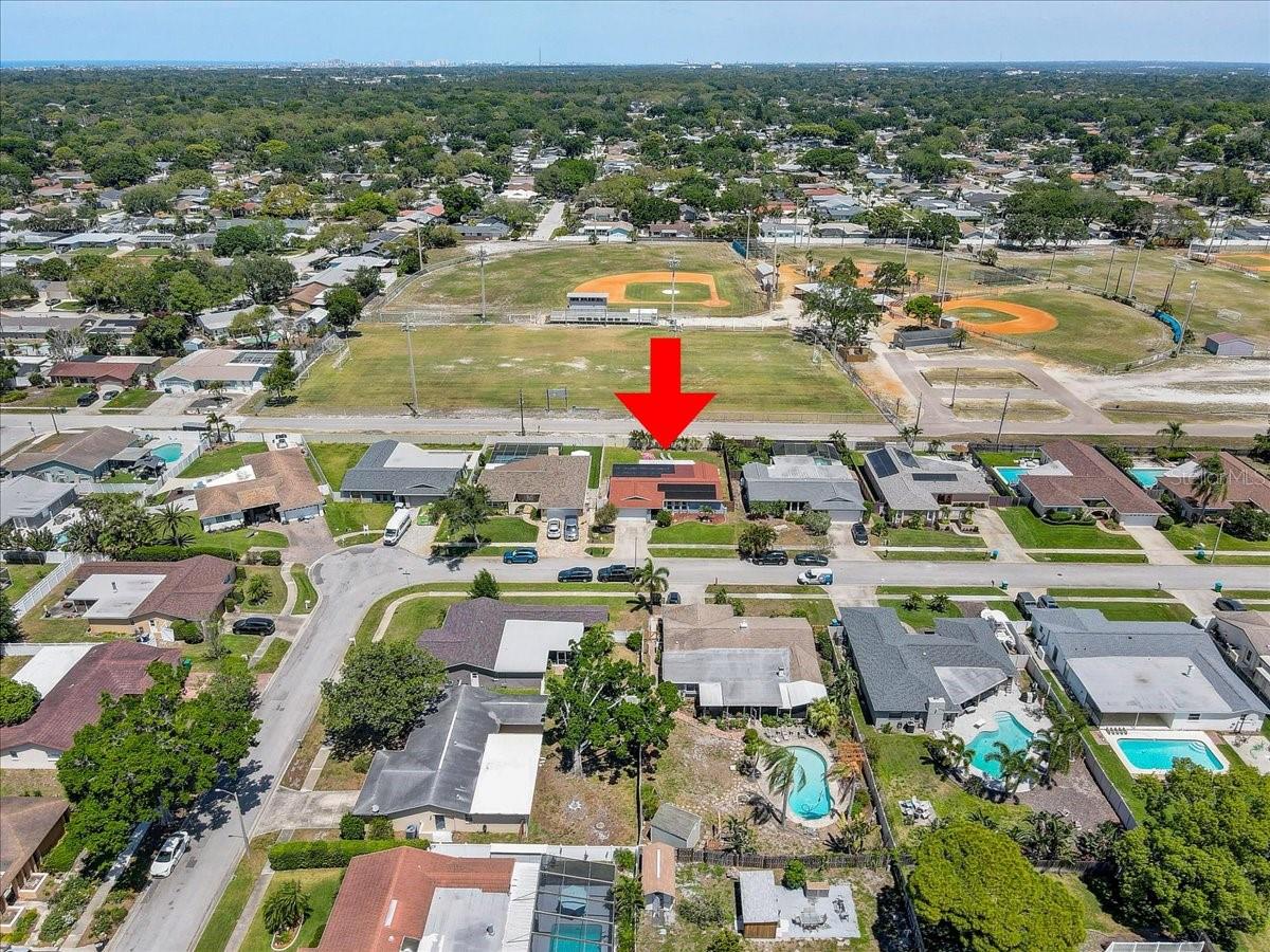 12137 ORANGE BLOSSOM DR, SEMINOLE, FL, 33772