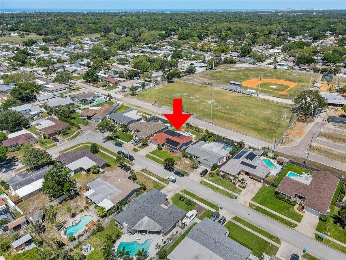 12137 ORANGE BLOSSOM DR, SEMINOLE, FL, 33772