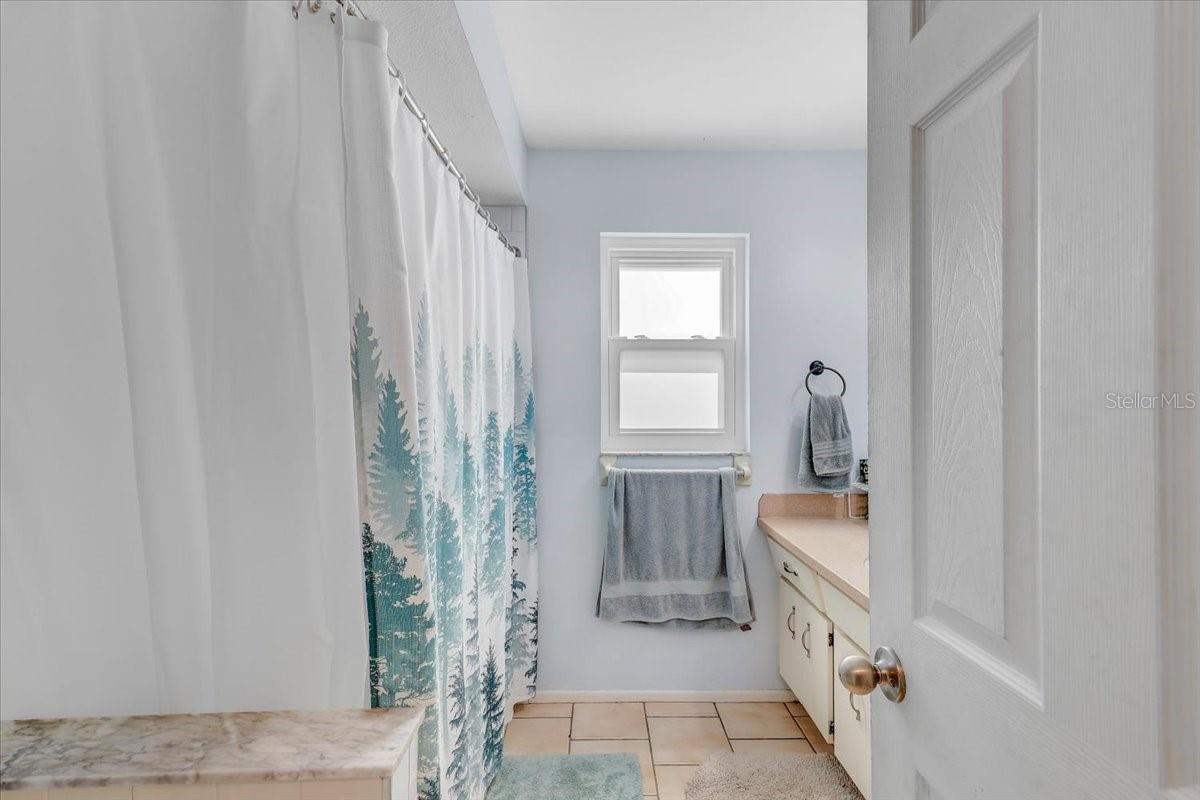 12137 ORANGE BLOSSOM DR, SEMINOLE, FL, 33772