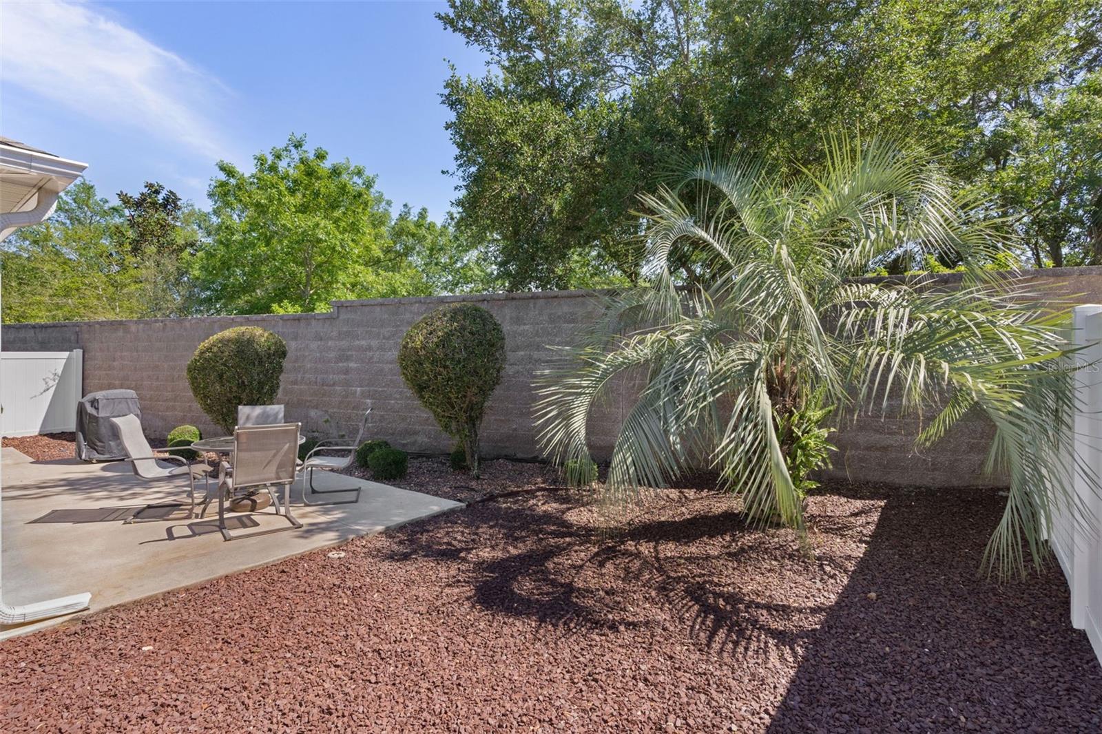 9224 SE 168TH COOK PL, THE VILLAGES, FL, 32162