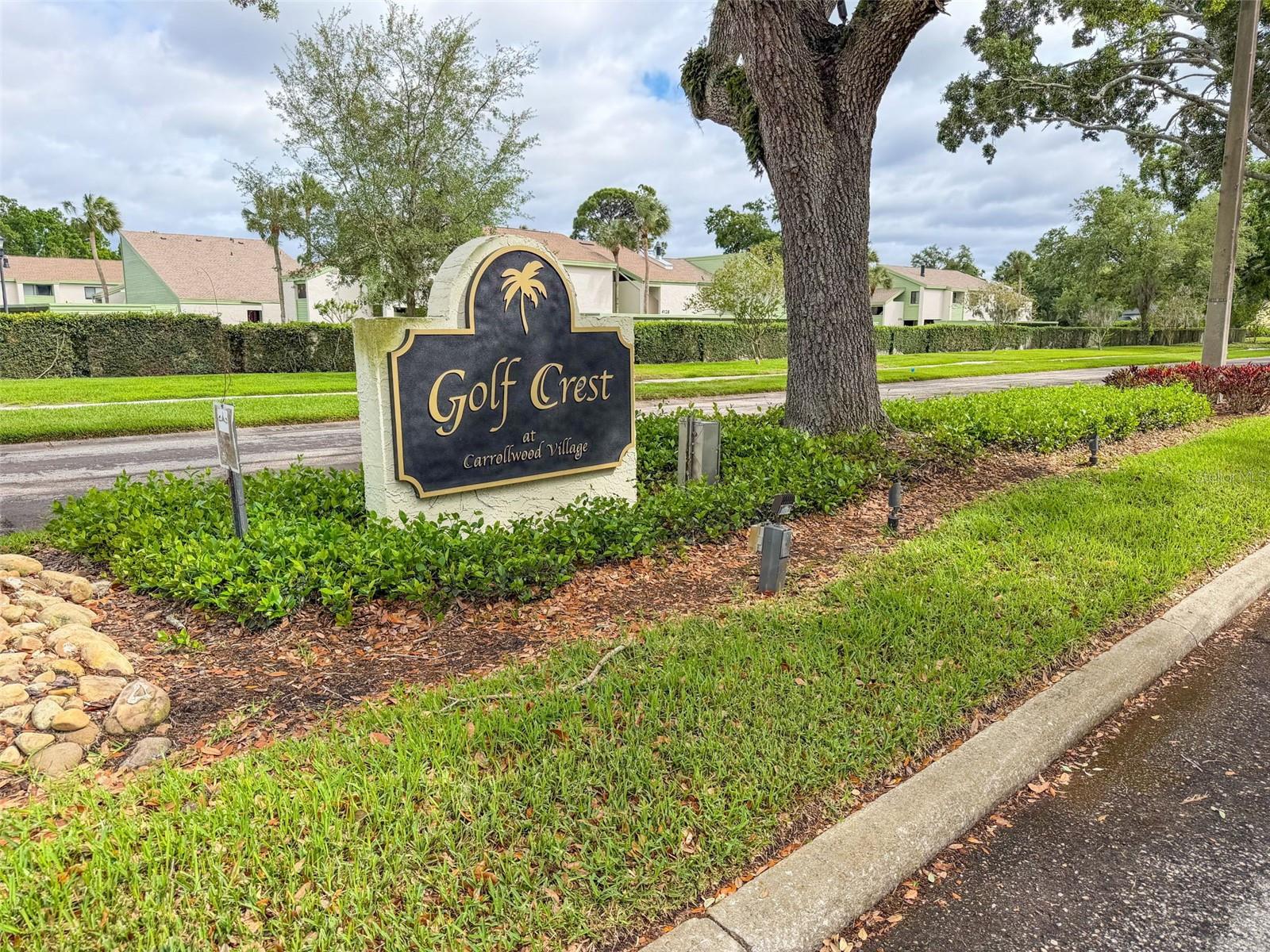 13313 GOLF CREST CIR, TAMPA, FL, 33618