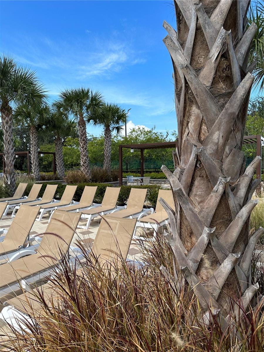 2525 RELAXING LN, KISSIMMEE, FL, 34744