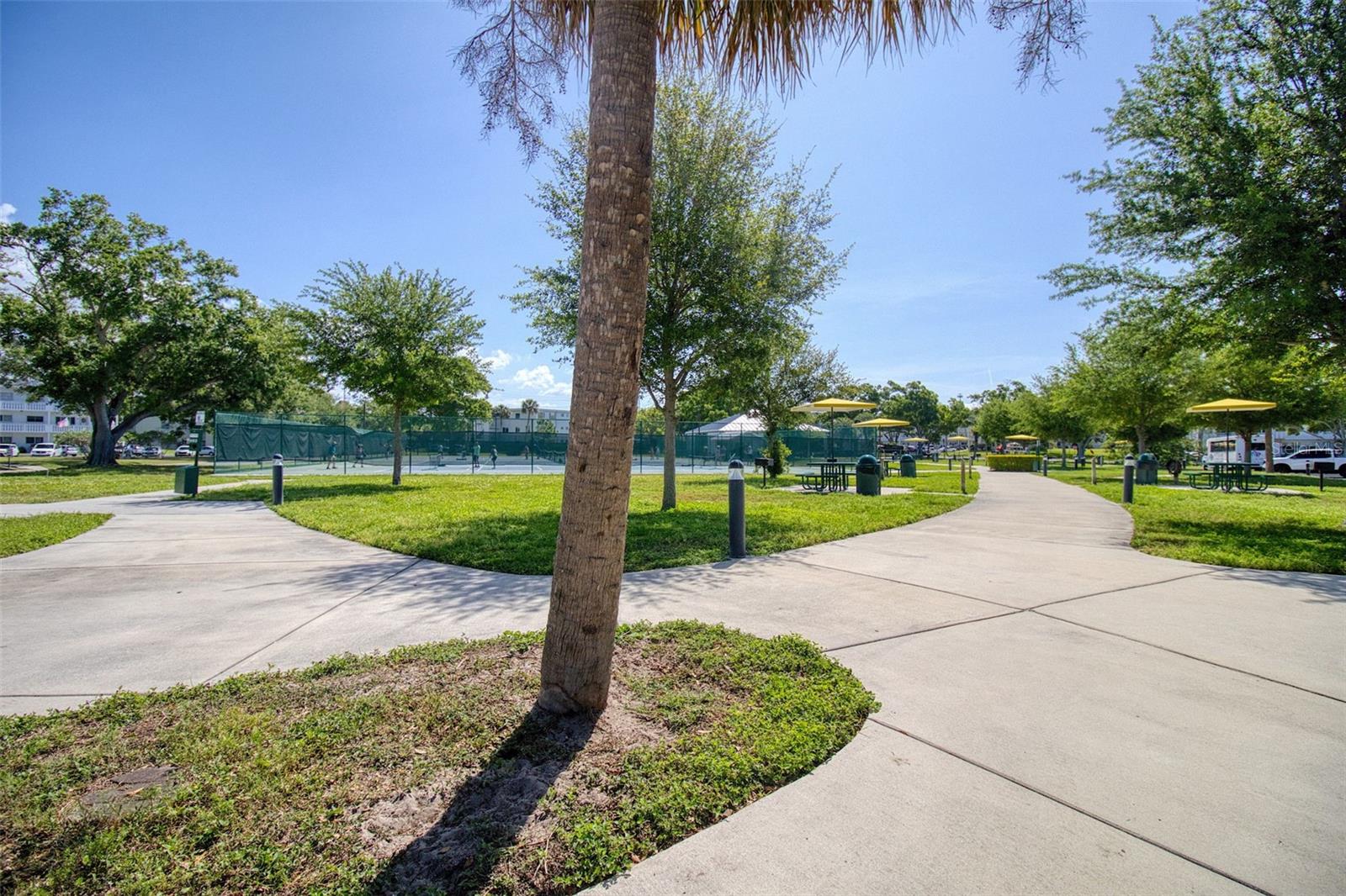 2450 CANADIAN WAY #26, CLEARWATER, FL, 33763