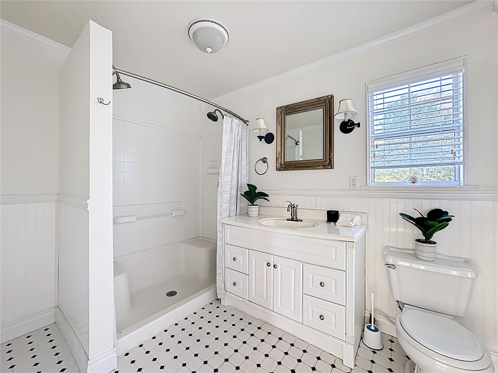 1148 N GRANDVIEW ST, MOUNT DORA, FL, 32757